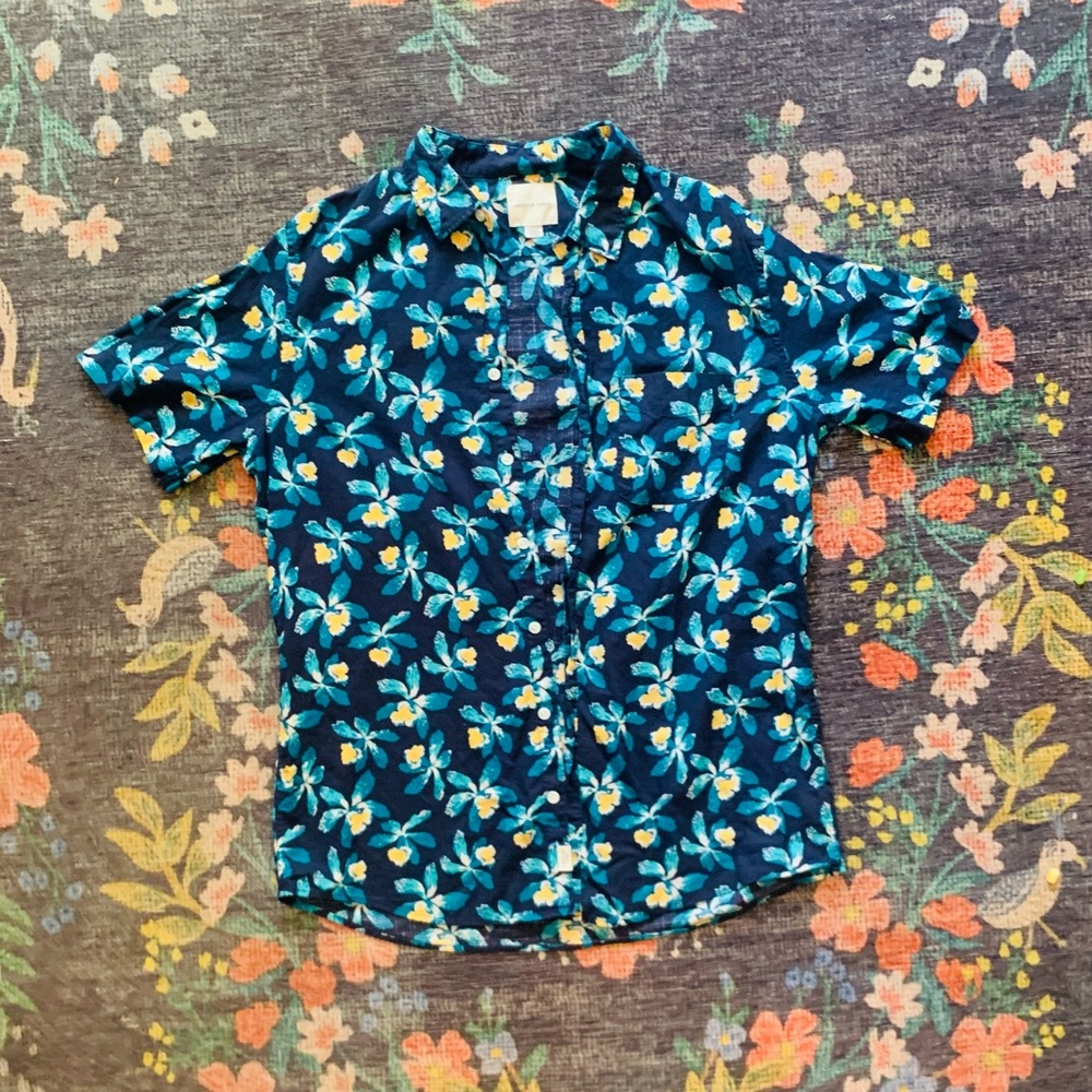 American Eagle Large Tall Button Down